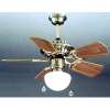 Ceiling Fan