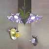 Chandeliers / Wall Lamps