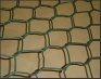 plastic plain mesh
