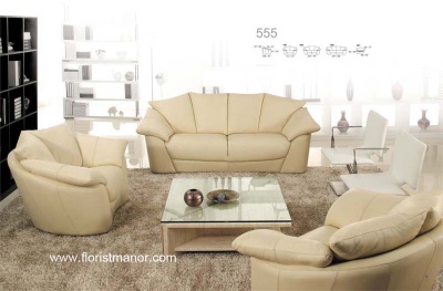 Leather sofa