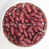 red kidney bean