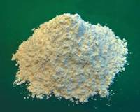 isolated soy protein