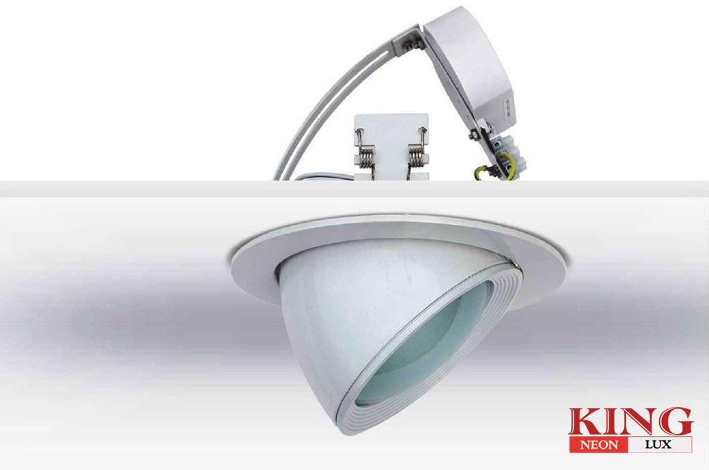 LED Down light