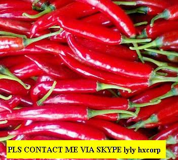 Hang Xanh Export Int'l co., ltd