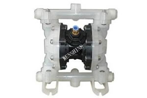 RW Air operated diaphragm pump