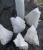 Caustic Soda Solid