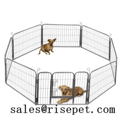 Standard Exercise pens - Standard Exercise pe
