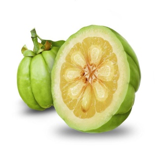 Garcinia cambogia Extract 50% and 60% HCA