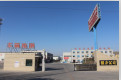 Zhengzhou Qiangli Amusement Equipment Co., Ltd.