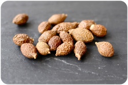 Malva nut