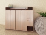 multi-function shoe cabinet