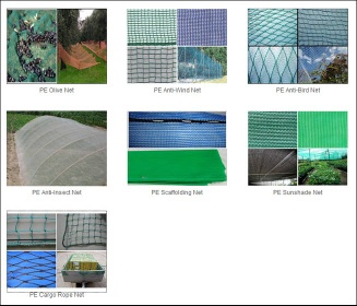 PE Nets - P08