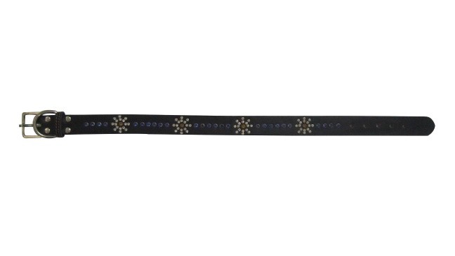 pet collar - cd04-8
