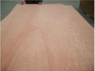 Competitive Bintangor  Plywood - TY3