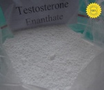 Testosterone Enanthate