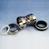 oil seal