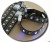 flashing pet collar,leash - LED collar& leash