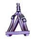 LED flashing pet collar - Flashing collar 
