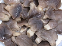 HONGDA EDIBLE MUSHROOMS CO.,LTD.