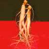 Doo - Seung Korea Ginseng