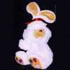 Rabbit with Hat
